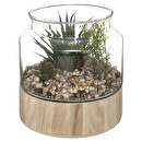 Pianta artificiale per terrario Vaso di vetro, H.17,5 cm Trasparente