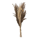 Bouquet di pampas essiccate "Ori" Bianco avorio, H.58 cm Bianco avorio