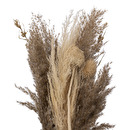 Bouquet di pampas essiccate "Ori" Bianco avorio, H.58 cm Bianco avorio