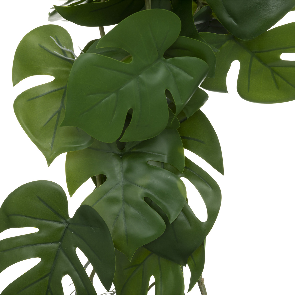 Monstera artificiale H.85 cm Verde