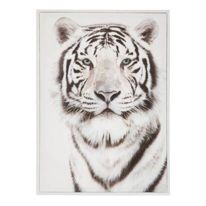Tela incorniciata 'animali' nero e bianco, 50x70 cm