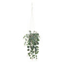 Pianta Artificiale Sospesa "Lourmarin" H.80 cm Bianco