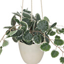 Pianta Artificiale Sospesa "Lourmarin" H.80 cm Bianco