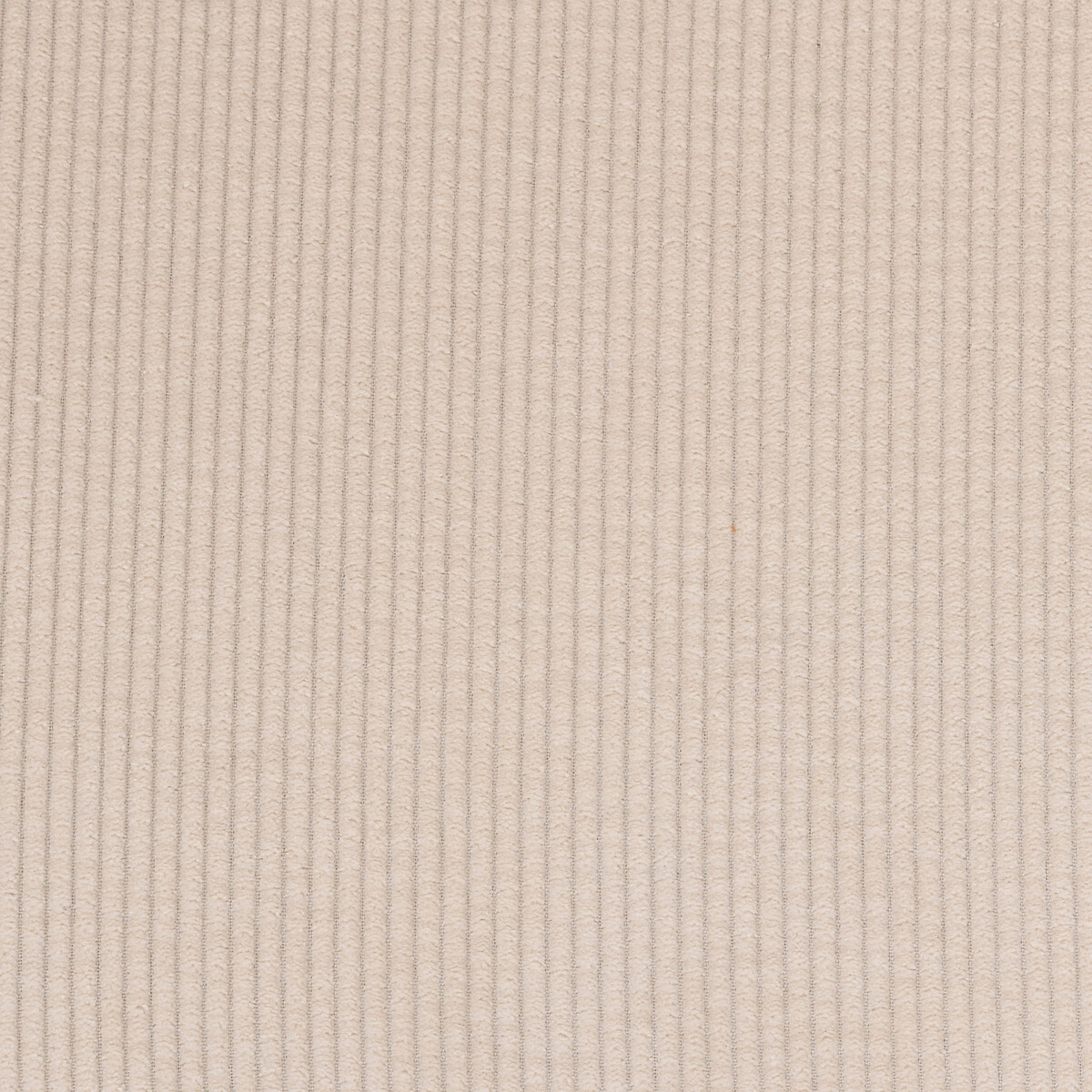 Sedia "Roka" Velluto beige Beige