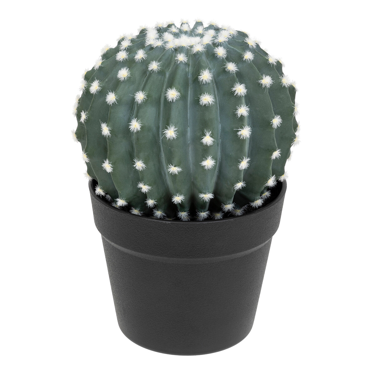 Cactus rotondo "Exotic Panama" Vaso di plastica, H.25 cm Verde