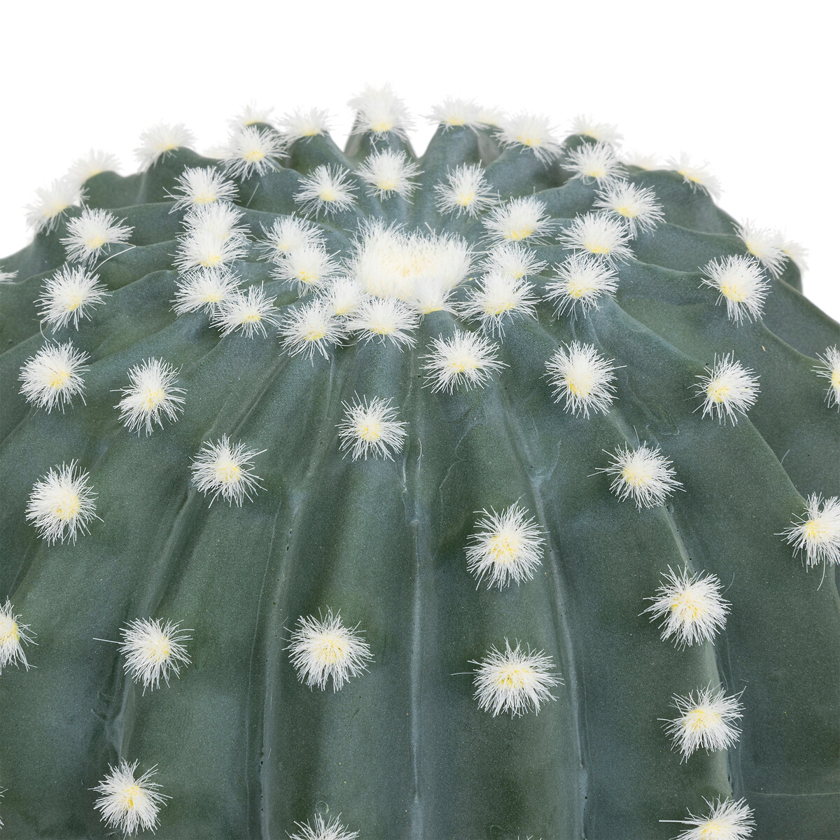 Cactus rotondo "Exotic Panama" Vaso di plastica, H.25 cm Verde