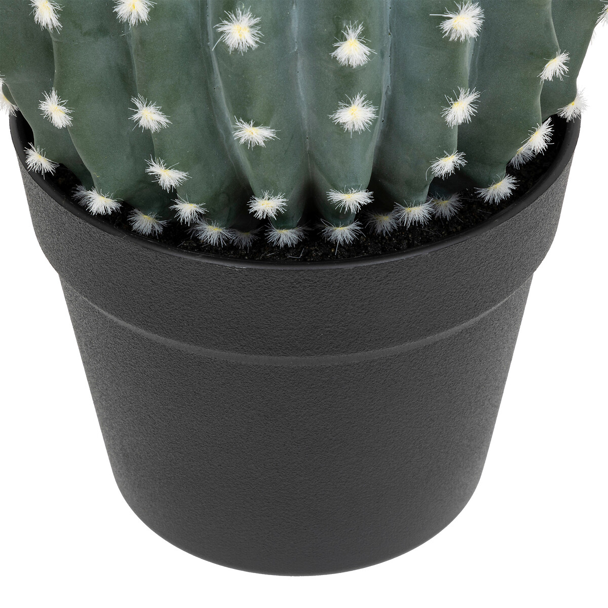 Cactus rotondo "Exotic Panama" Vaso di plastica, H.25 cm Verde