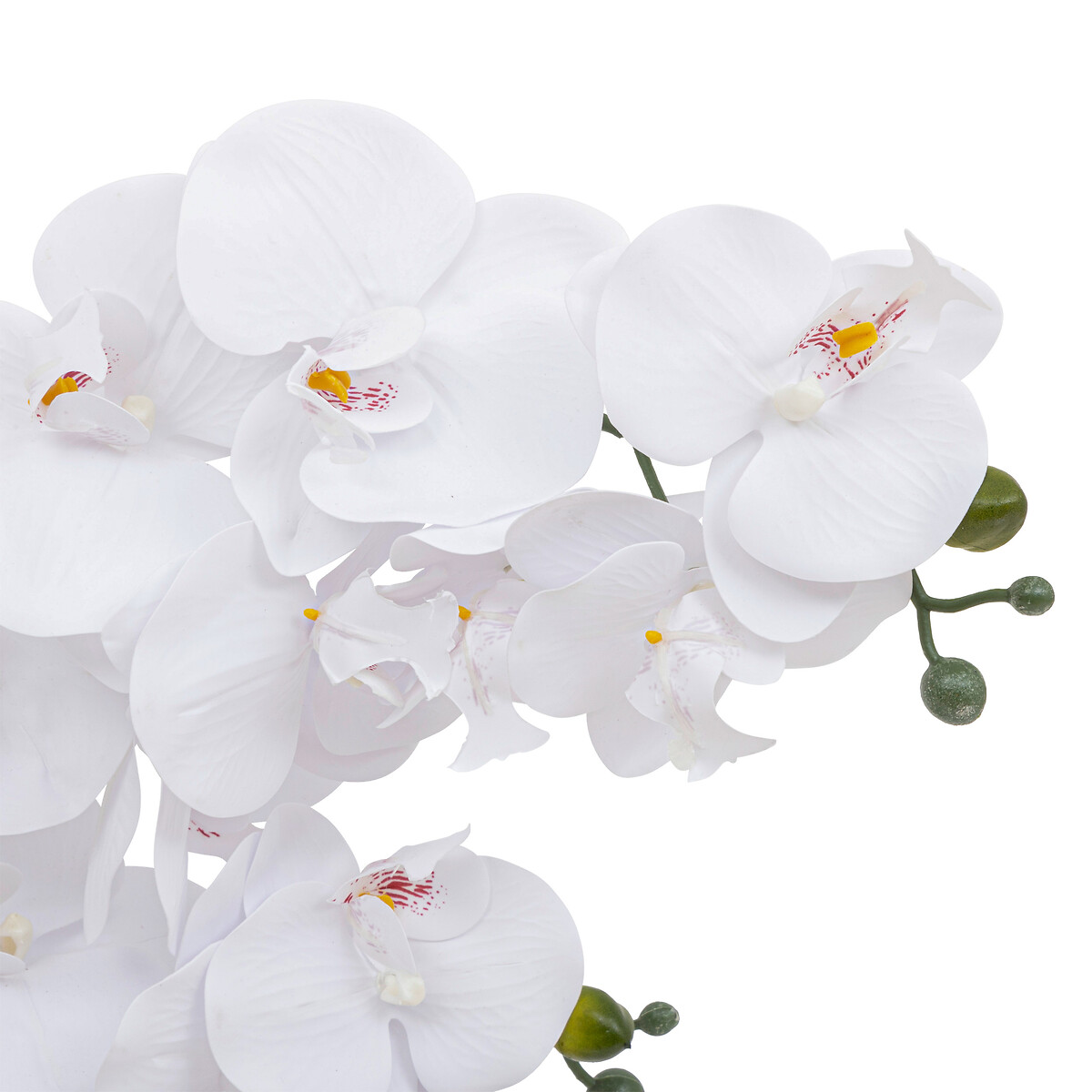 Orchidea artificiale "Riva" Vaso in ceramica, H.60 cm Bianco