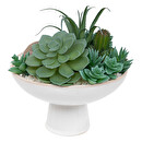 Composizione di piante grasse artificiali Vaso in ceramica, H.20 cm Bianco