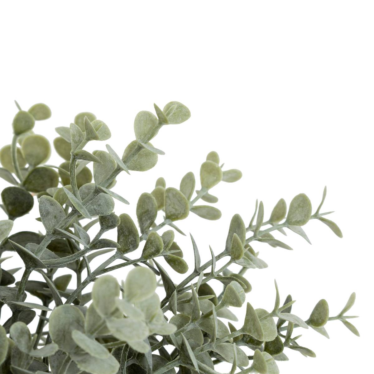 Bouquet di eucalipto artificiale "James" H.30 cm Verde