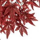 Acero artificiale autunnale "James" Vaso nero, H.150 cm Rosso rubino