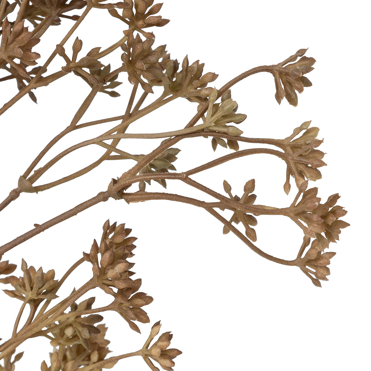 Stelo di achillea artificiale "James" H.51 cm Beige
