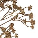 Stelo di achillea artificiale "James" H.51 cm Beige