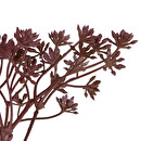 Stelo di achillea artificiale "James" H.51 cm Beige