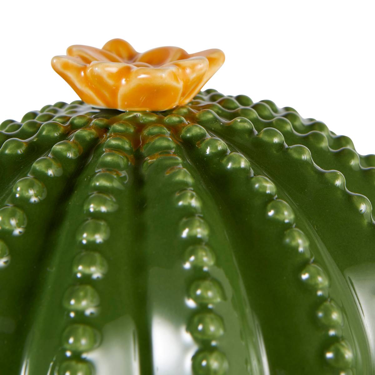 Scatola decorativa "Yuca" Ceramica, Verde, 16x15,5x11 cm Verde