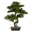Bonsai artificiale in vaso "Polin" Vaso in ceramica, H.86 cm Verde