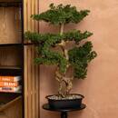 Bonsai artificiale in vaso "Polin" Vaso in ceramica, H.86 cm Verde