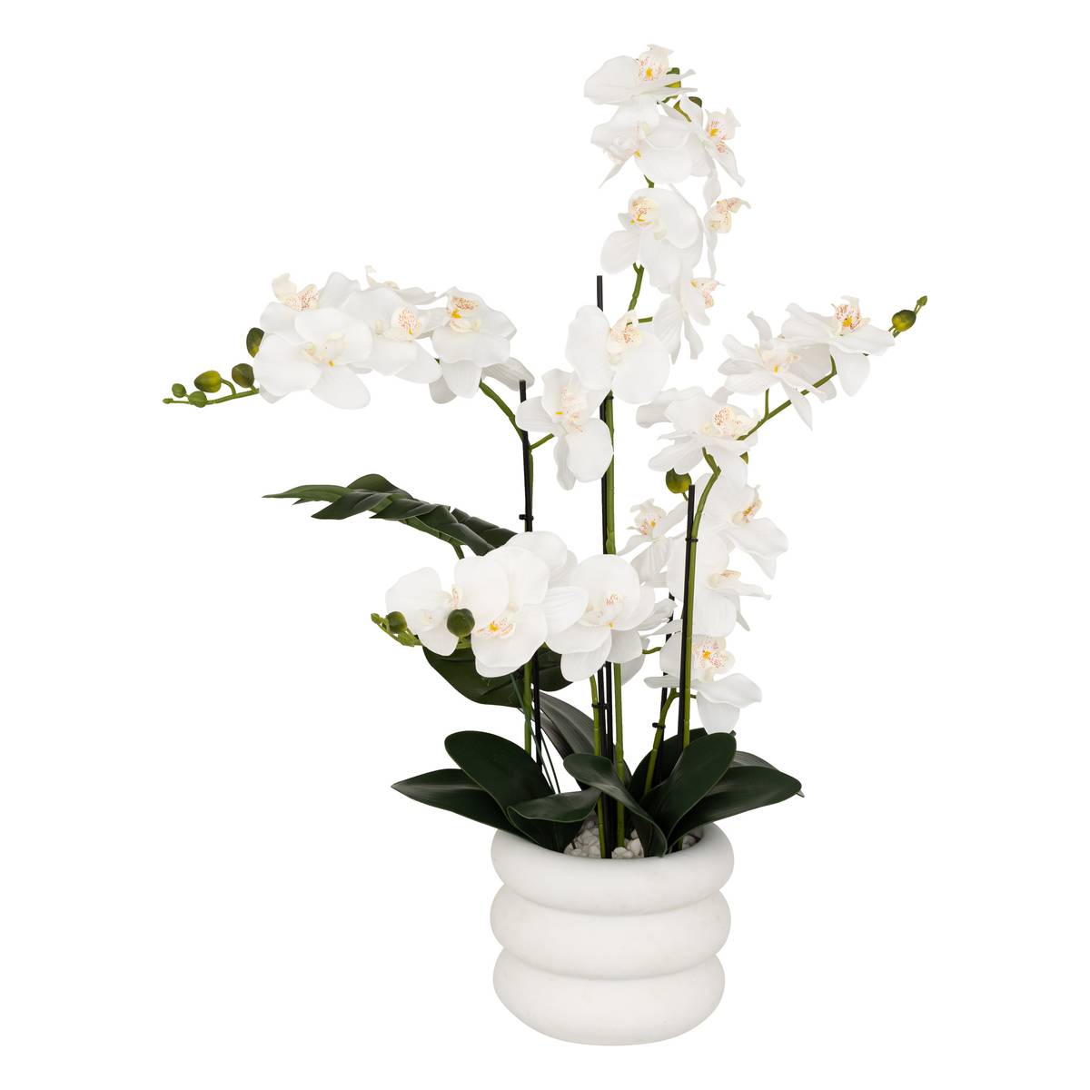 Orchidea artificiale in vaso "Mick" Vaso in ceramica, Bianco, H.80 cm Bianco