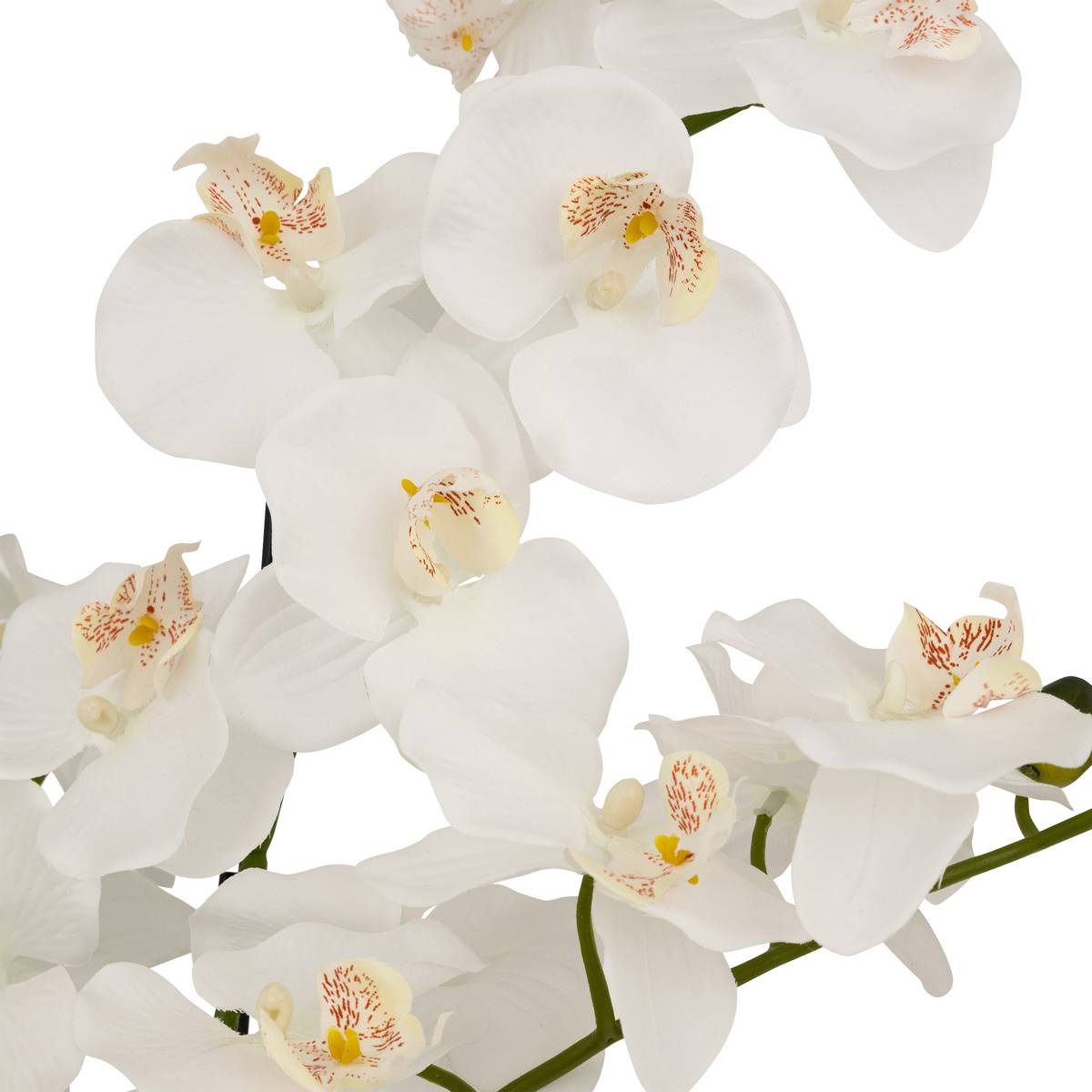 Orchidea artificiale in vaso "Mick" Vaso in ceramica, Bianco, H.80 cm Bianco