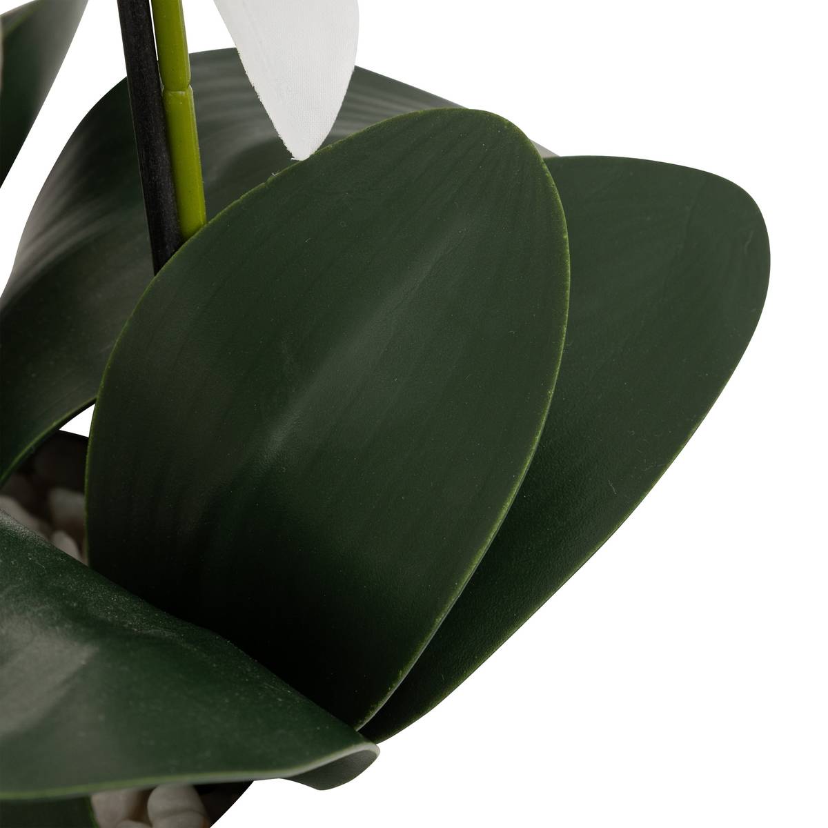 Orchidea artificiale in vaso "Mick" Vaso in ceramica, Bianco, H.80 cm Bianco