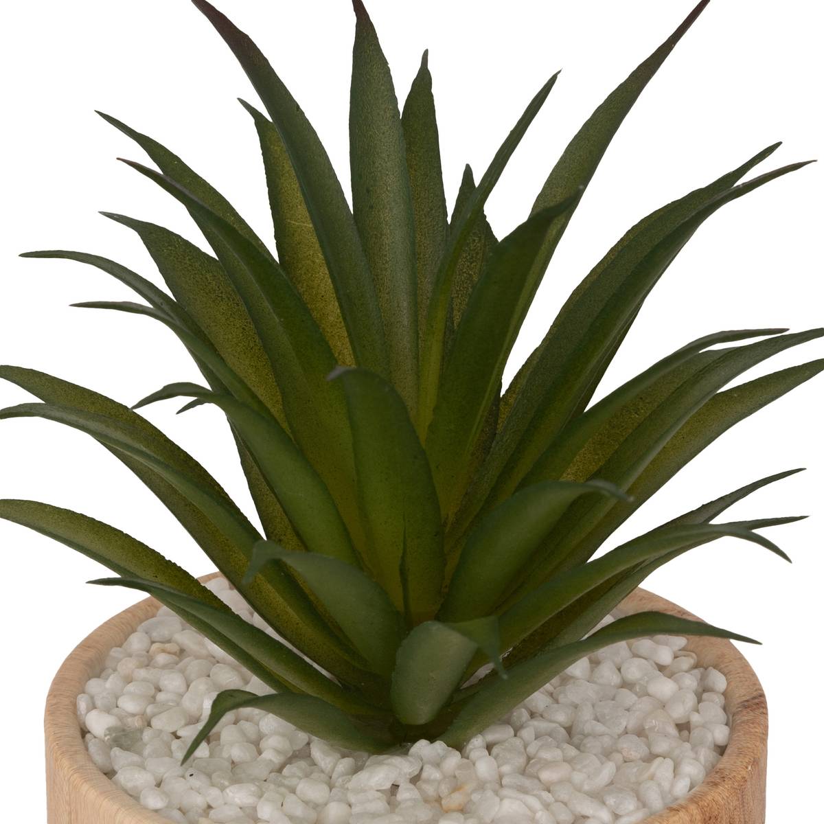 Pianta artificiale "Sao" Marrone, H. 17 cm Marrone