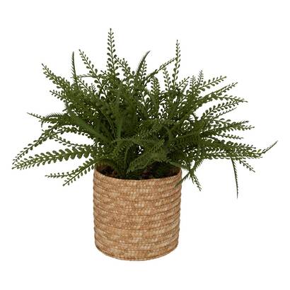 Felce artificiale in vaso "clemy" verde, h. 45 cm