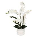 Orchidea artificiale in vaso "Mick" Vaso in ceramica, Bianco, H.80 cm Bianco