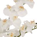 Orchidea artificiale in vaso "Mick" Vaso in ceramica, Bianco, H.80 cm Bianco
