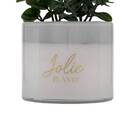 Pianta artificiale in vaso "Tayli" H. 18 cm Bianco