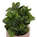 Pianta artificiale in vaso "Tayli" H. 18 cm Bianco