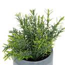 Pianta artificiale in vaso "Tayli" H. 18 cm Bianco