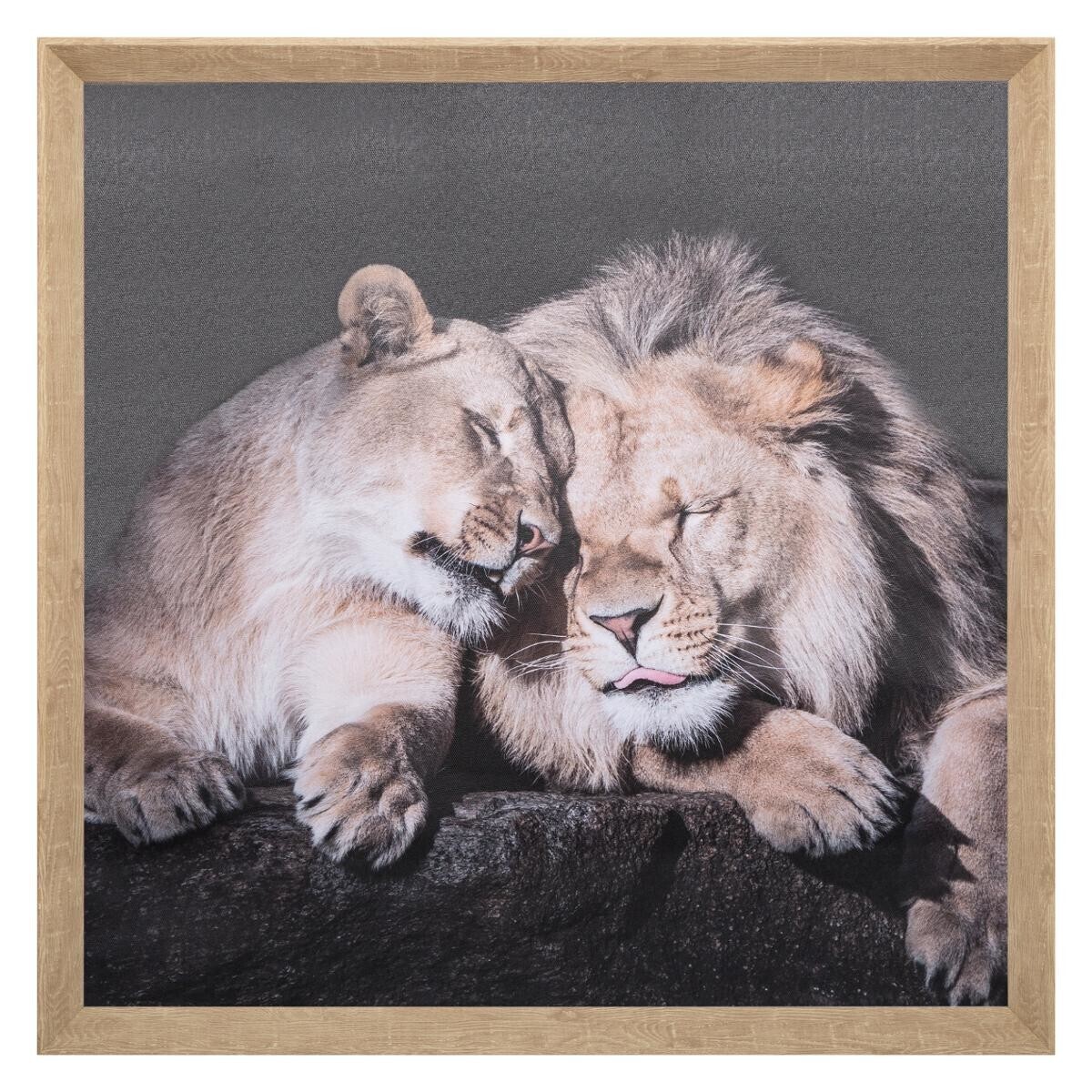 Toile à Colorier Sur Cadre Pintcolor - 40x50 Cm - Dessin Tigre Imprimé - Coton, Prête à Accrocher - 8